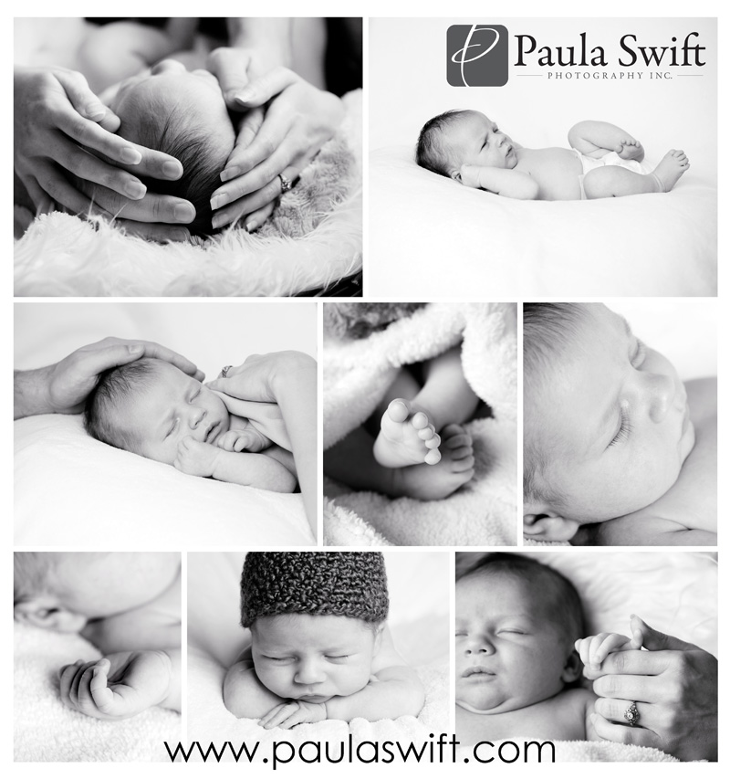 newborn-photographer-ma