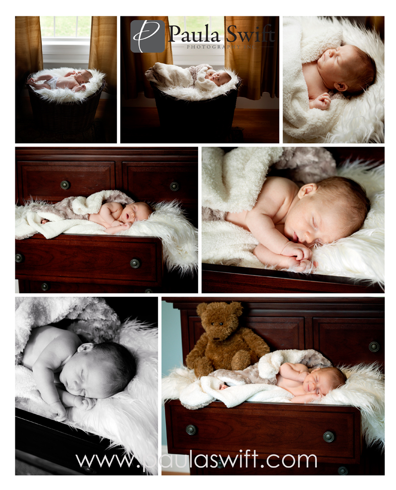 newborn-portraits-ma