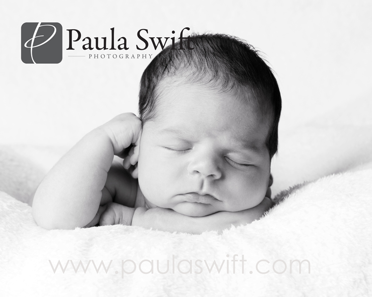 sumner_0060 sumner_0060