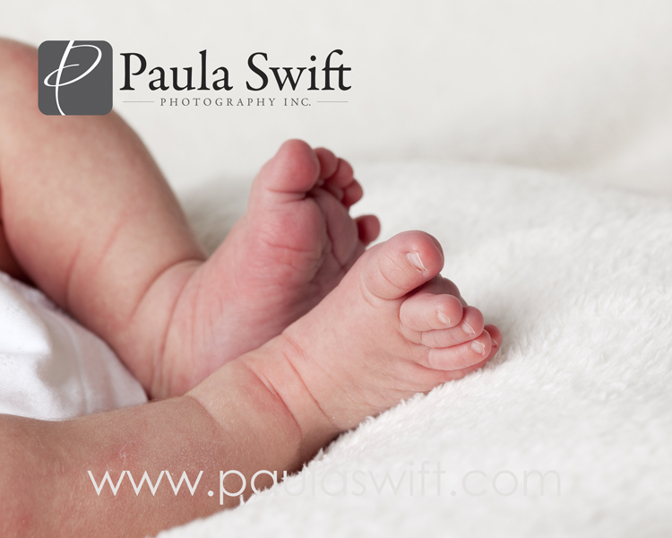 sumner_0065 sumner_0065