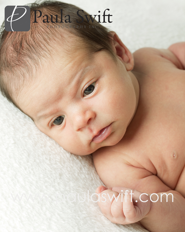 sumner_0073 sumner_0073