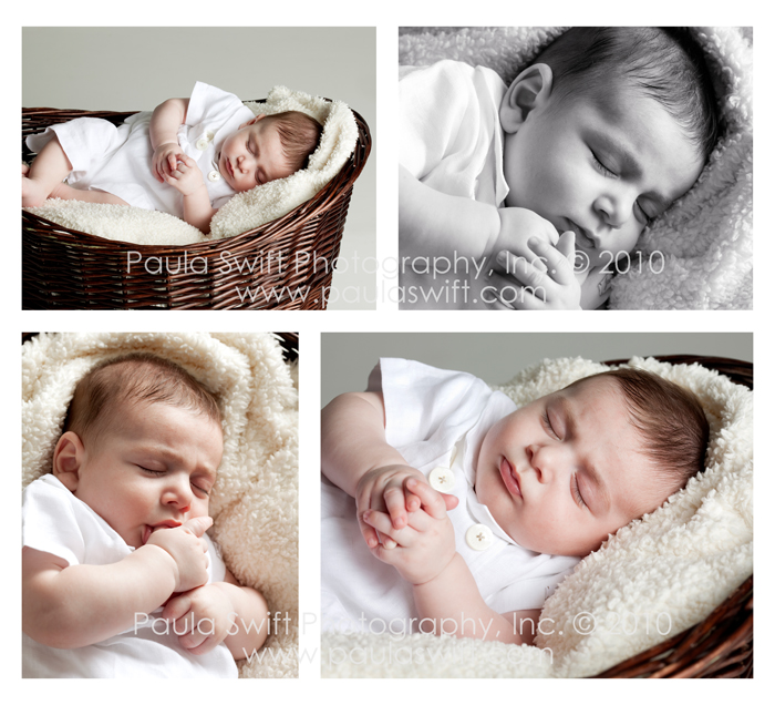 wayland-ma-photographer