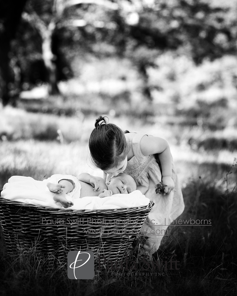 Boston Newborn Photographer 006
