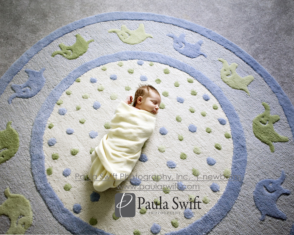 Boston Newborn Photographer 008
