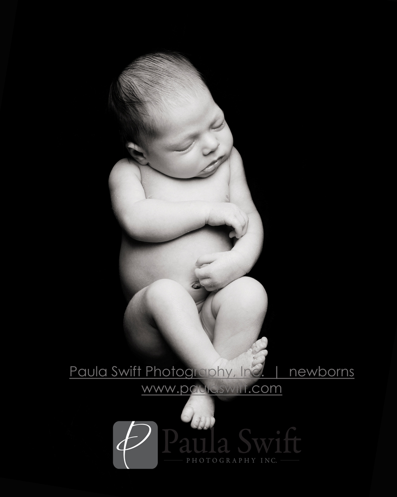 Boston Newborn Photographer 016
