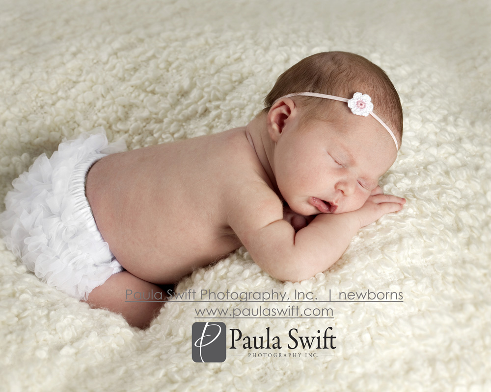 Boston Newborn Photographer 018