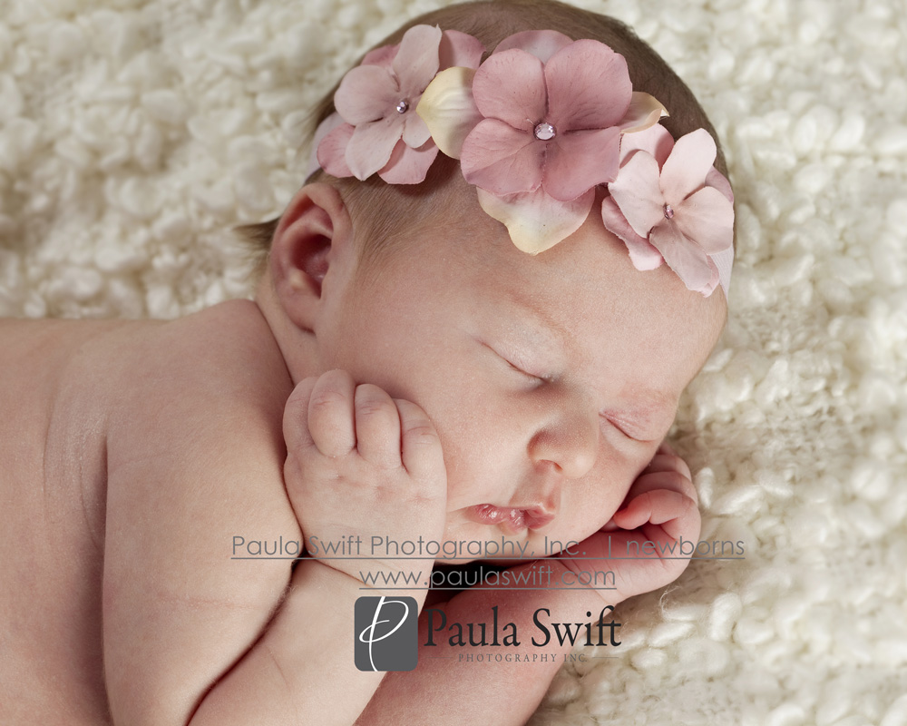 Boston Newborn Photographer 019