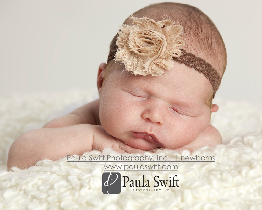 Boston Newborn Photographer 020