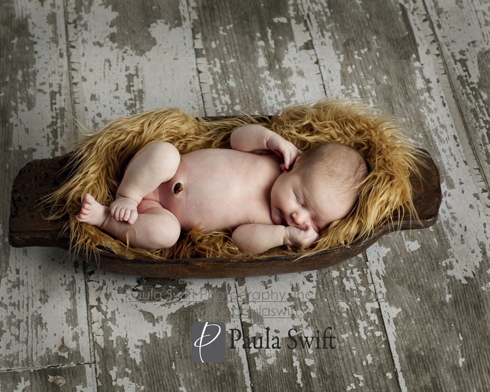 Boston Newborn Photographer 021