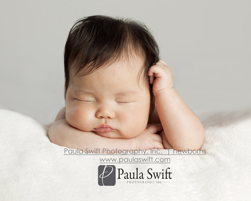Boston Newborn Photographer 028