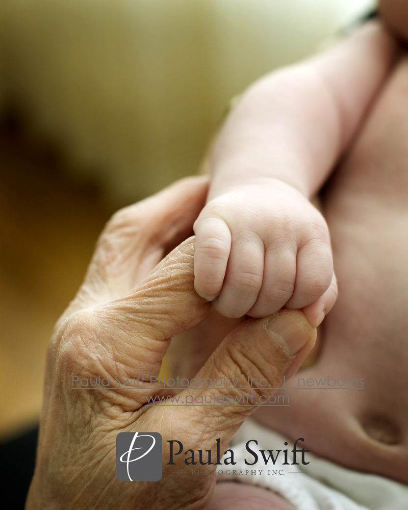 Boston Newborn Photographer 034