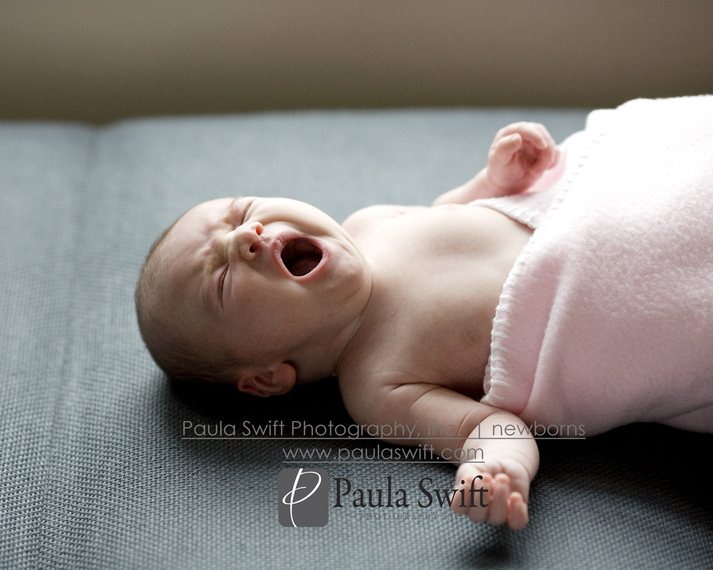 Boston Newborn Photographer 036