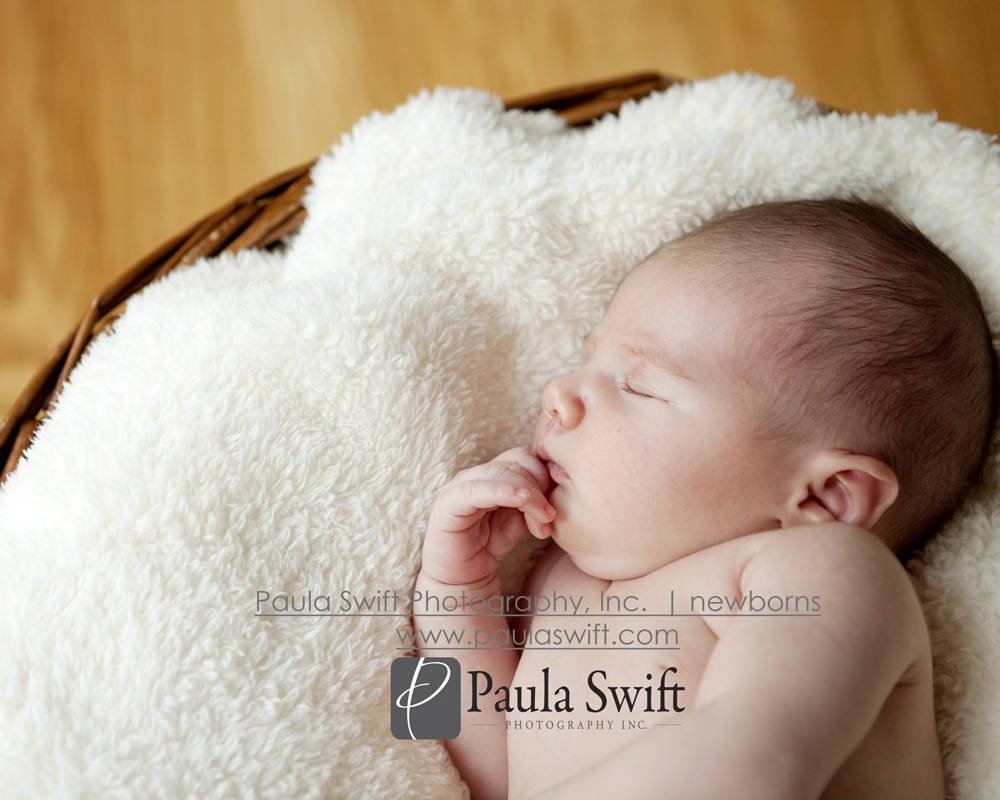 Boston Newborn Photographer 039