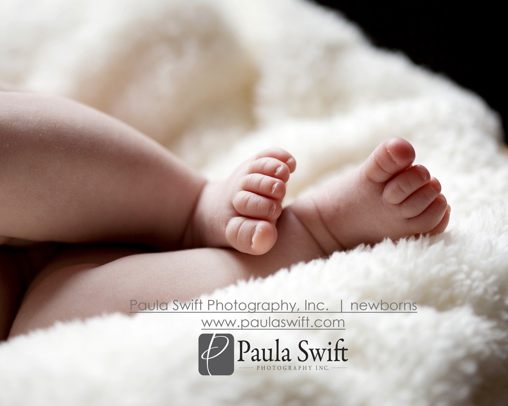 Boston Newborn Photographer 041