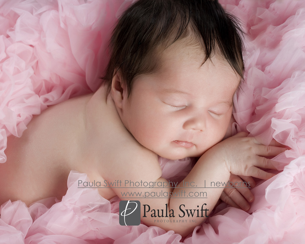 Boston Newborn Photographer 048