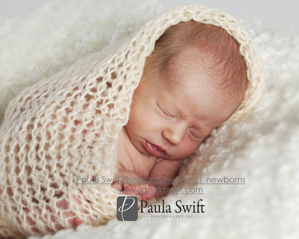 Boston Newborn Photographer 051