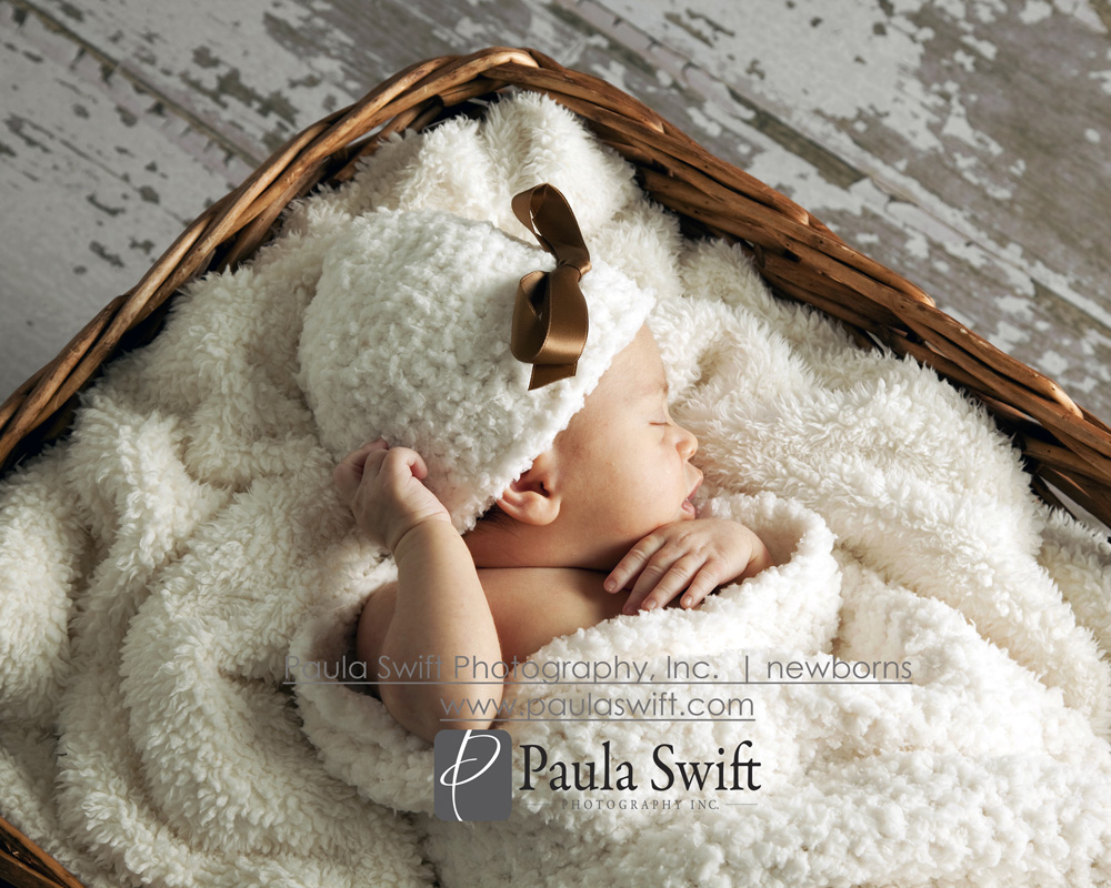 Boston Newborn Photographer 056