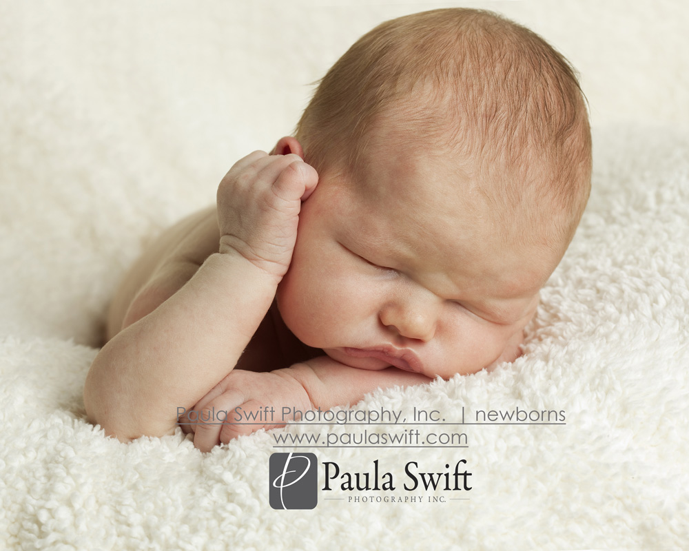 Boston Newborn Photographer 059