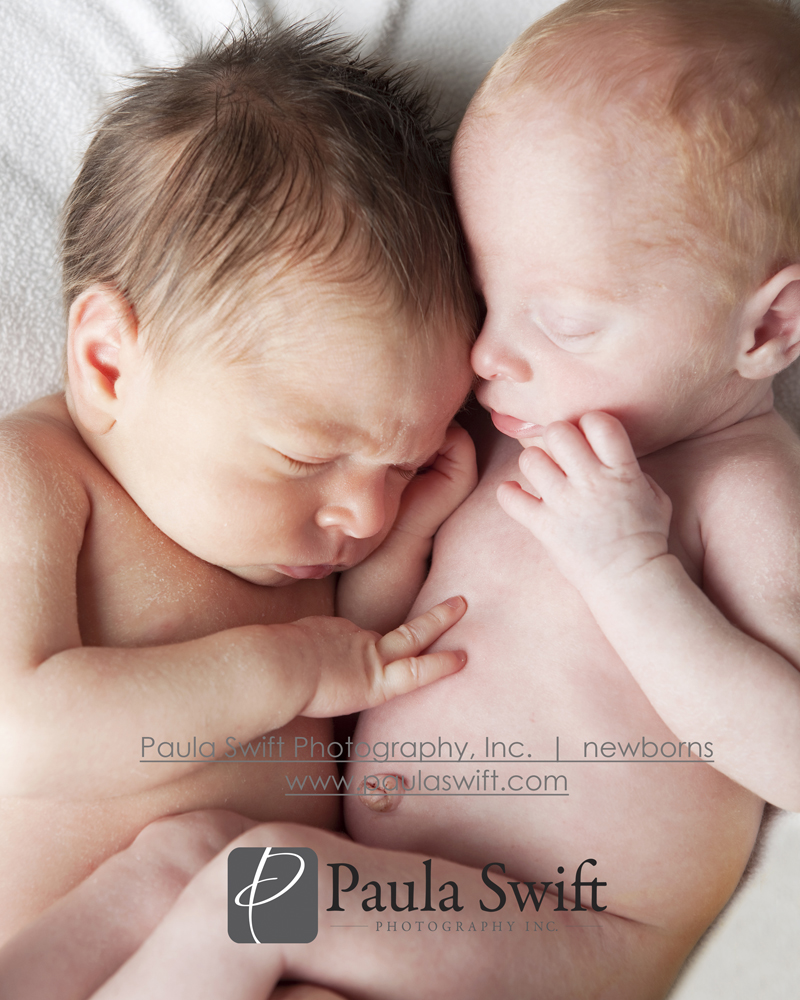 Boston Newborn Photographer 065