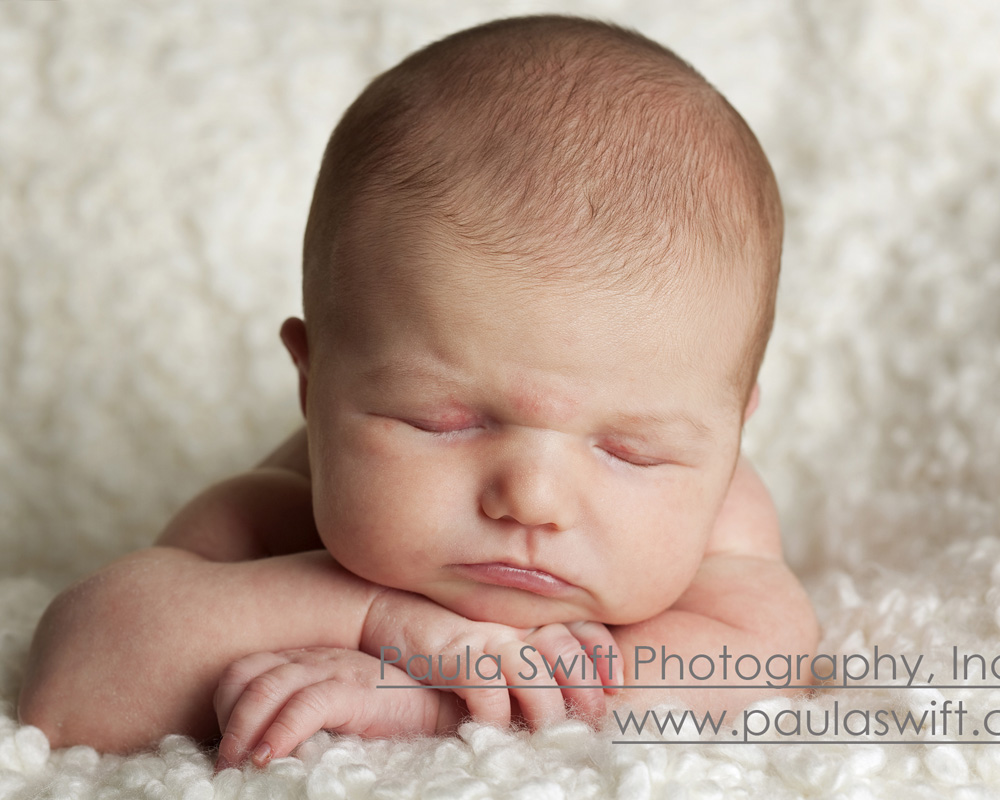 Boston Newborn Photographer 077
