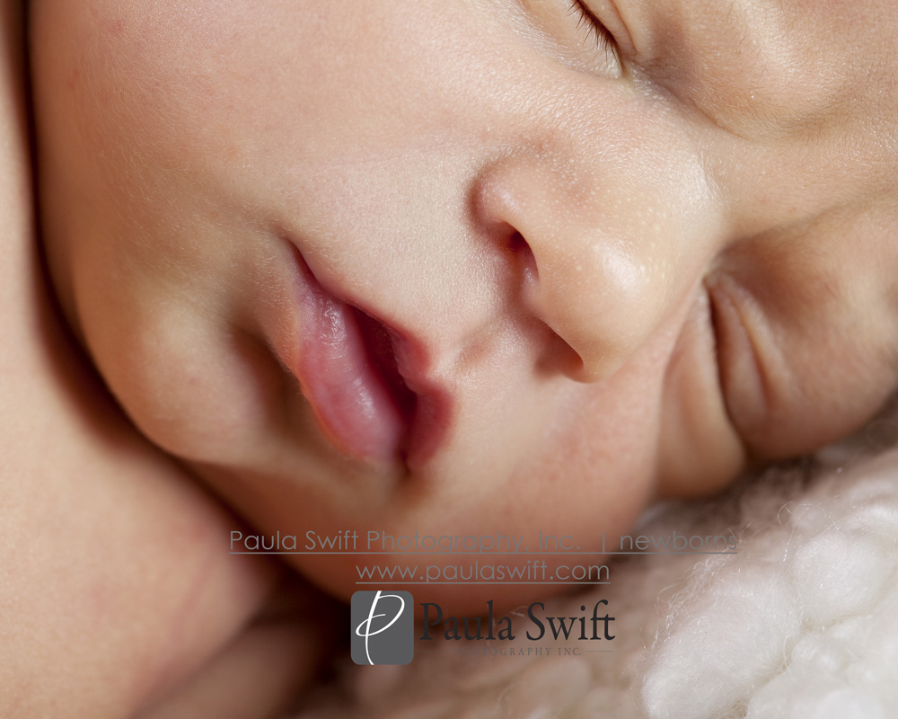 Boston Newborn Photographer 079