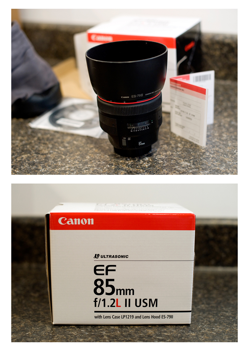 Canon 85 lens collage