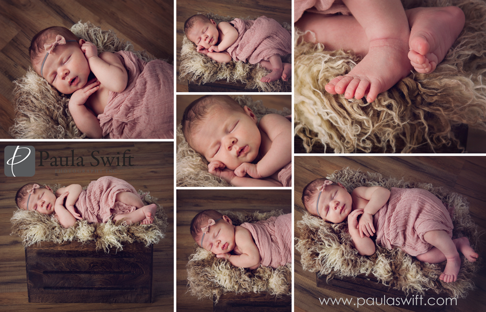 Sudbury Newborn Photographer