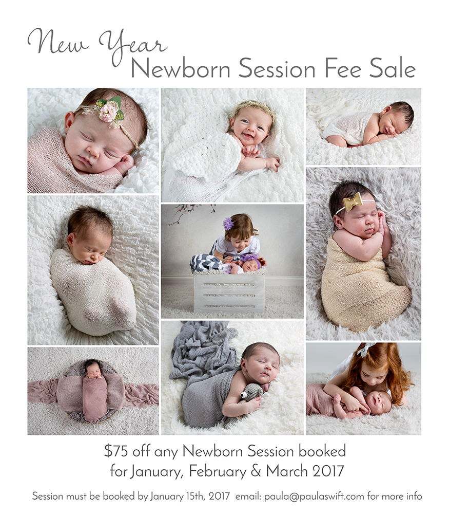 newborn session fee sale_web