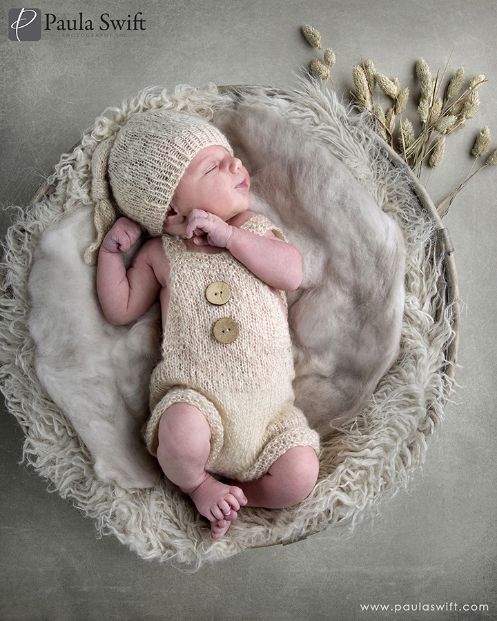 framingham newborn photographer