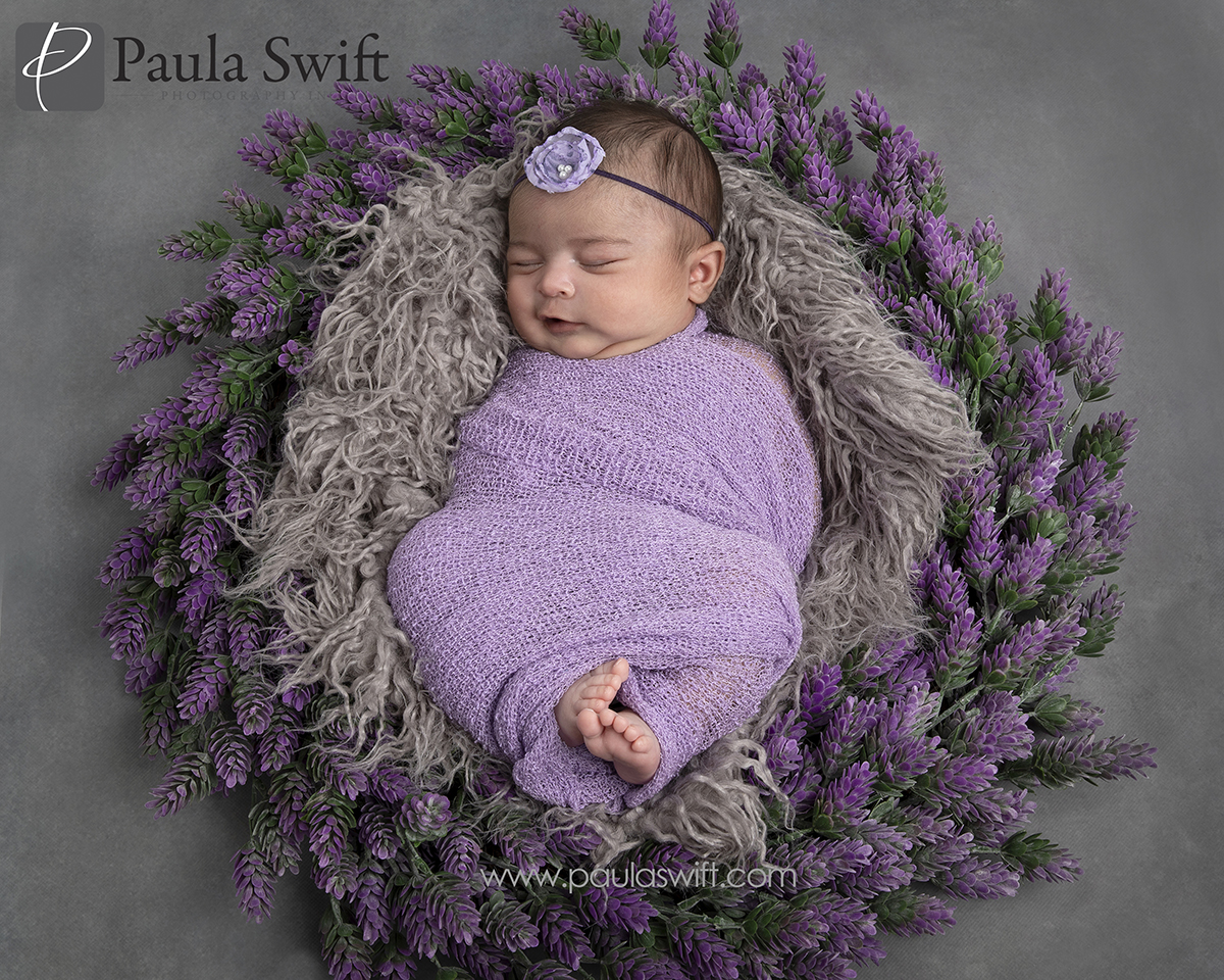 newborn photographer boston 0002