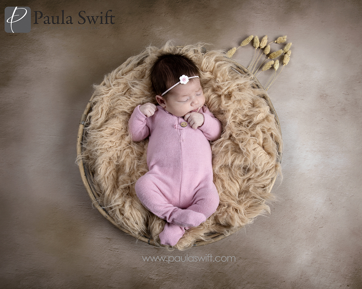 simple newborn Portraits 0022