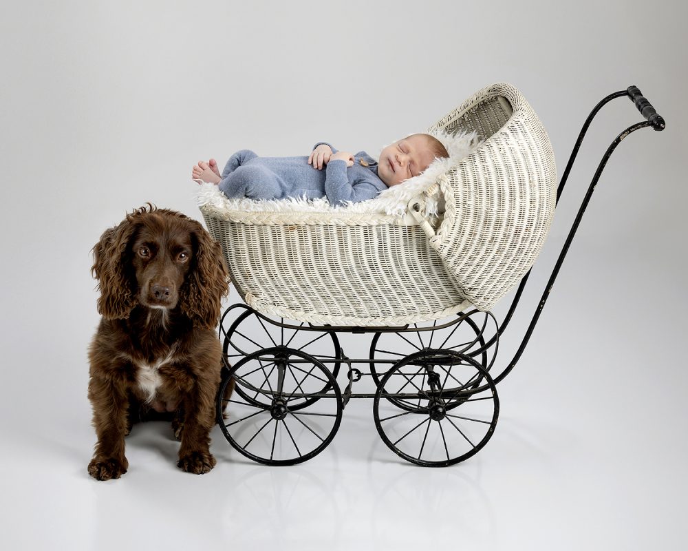 Newborn baby photographed with the family dog during a pet-friendly studio session in the Boston Metrowest area.