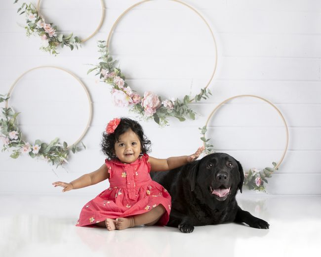 One-year-old child photographed with family dog in Paula Swift’s pet-friendly studio in Sudbury, Massachusetts